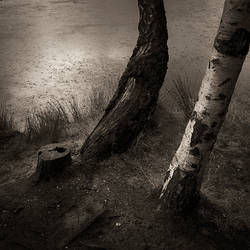 rainy-day-in-Holland