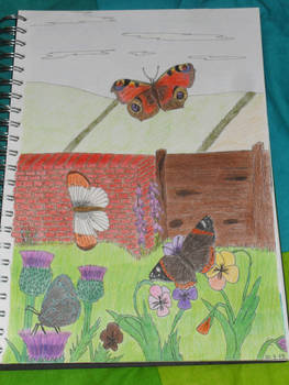 Butterfly garden - coloured