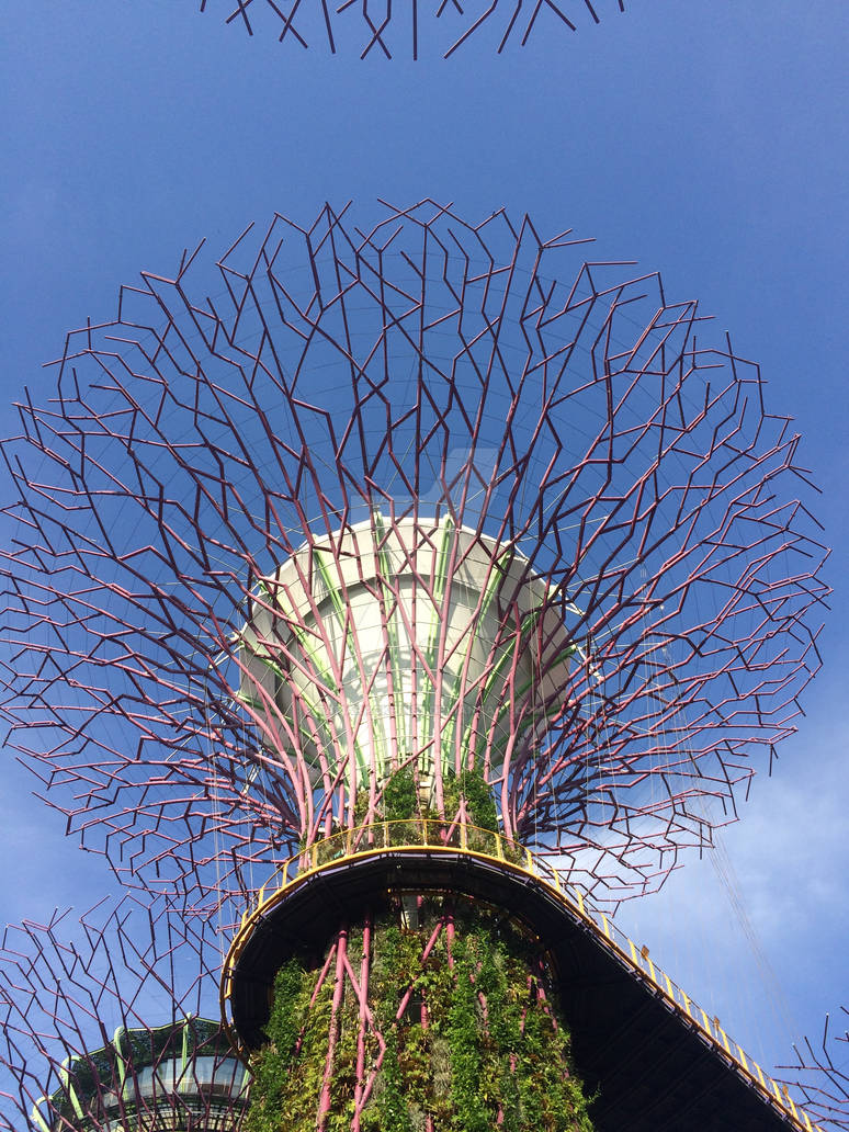 Supertrees by Tamarackpines on DeviantArt