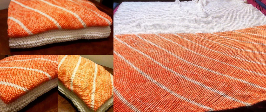 Salmon Sushi blanket