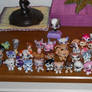 My LPS Collection