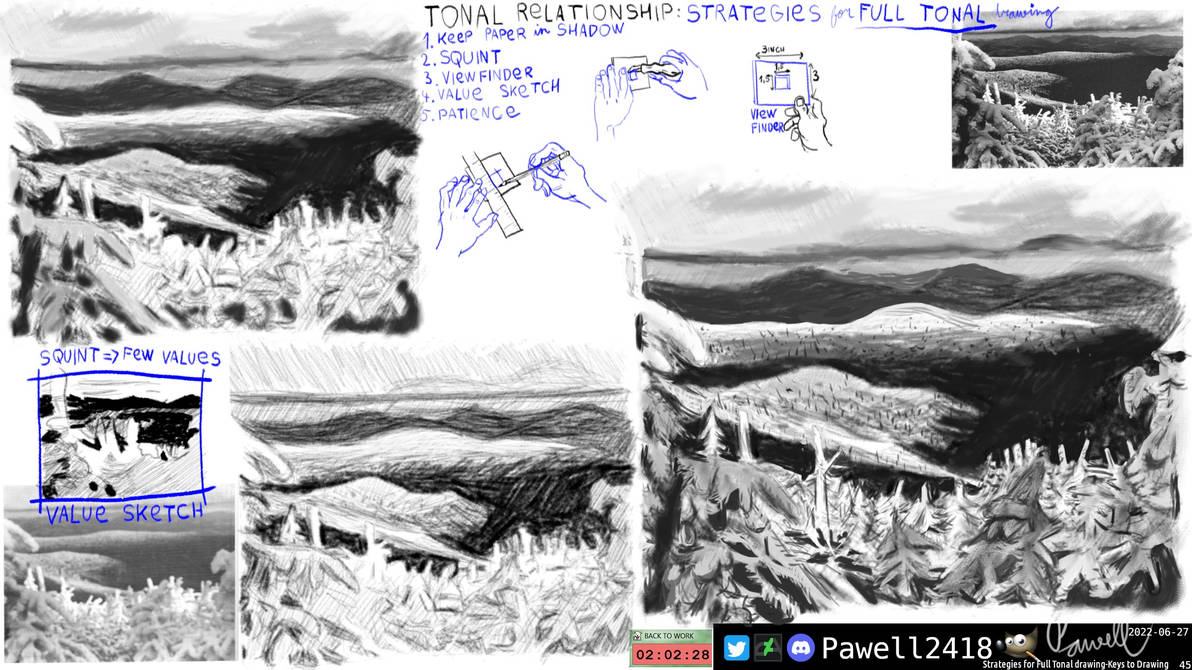 Strategies for Full Tonal drawing by Pawell2418 on DeviantArt