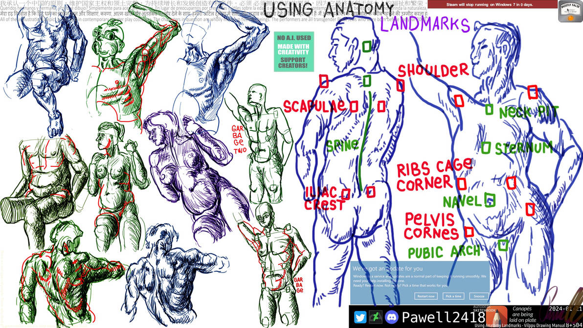 Using Anatomy Landmarks by Pawell2418 on DeviantArt Biology Diagrams