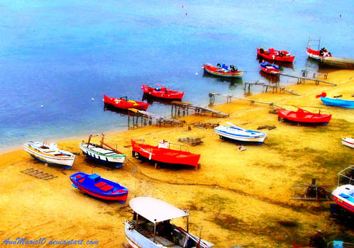 Colorful boats...