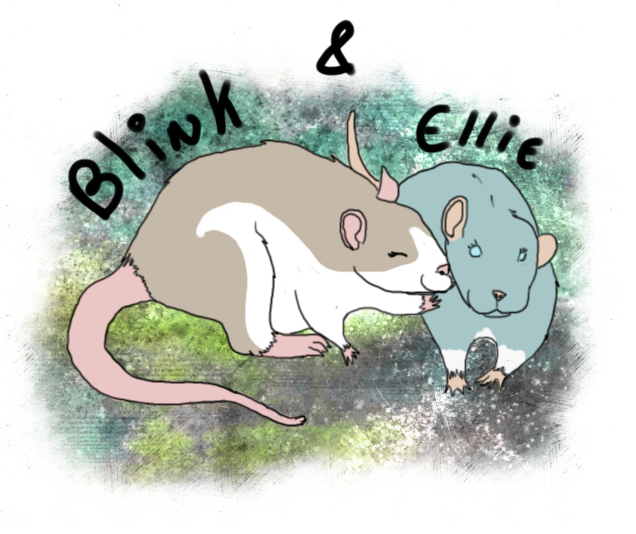 Blink and Ellie (KitlynSolstice rats)