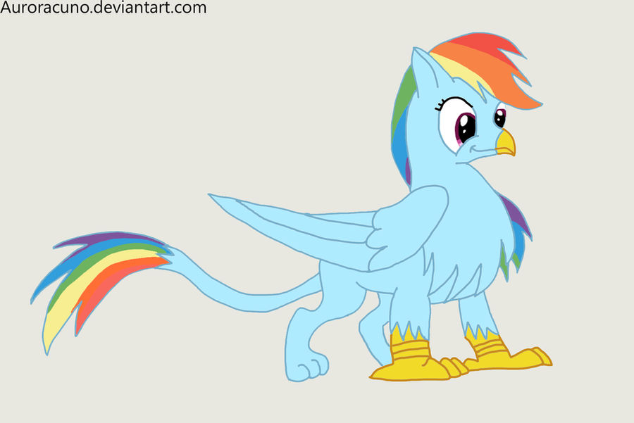 Rainbow Dash Griffon