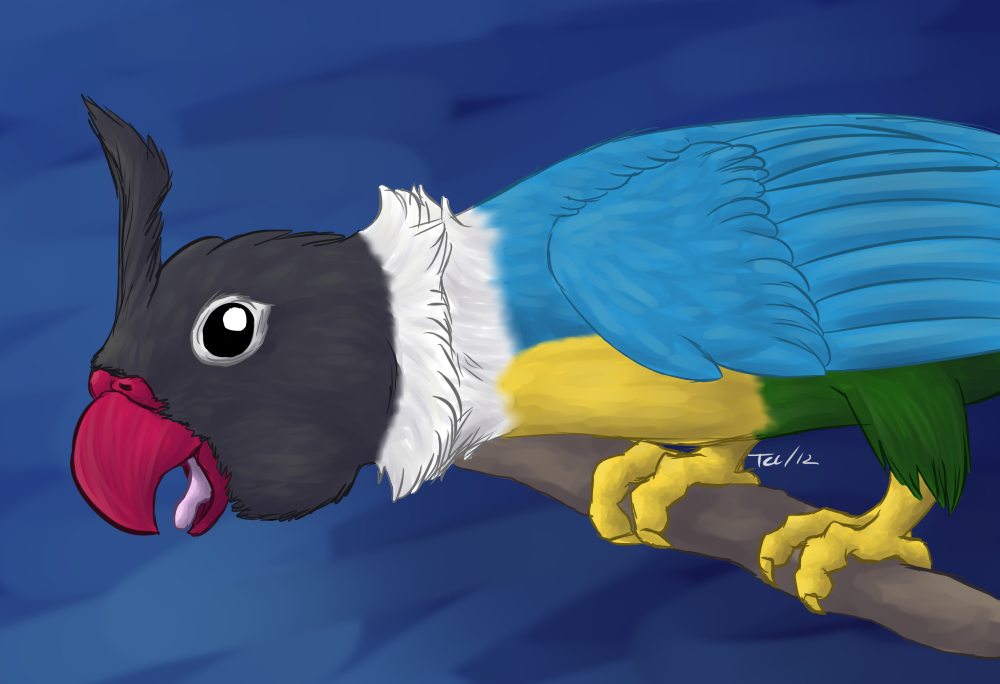 Semi-Realistic Chatot