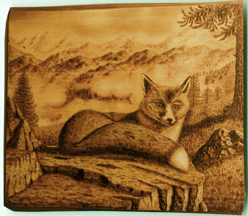 Fox - Pyrography by CarloFerrario1954 on DeviantArt