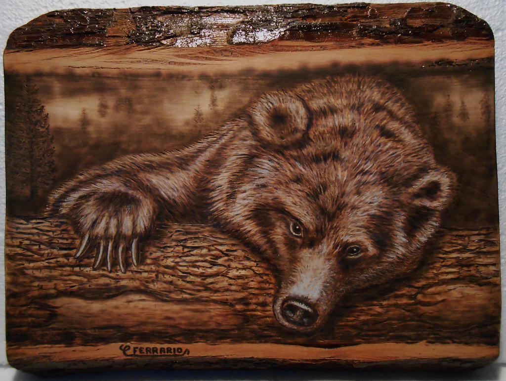 Pyrography Walnuts Save the bear - Pyrography ( walnut cm. 40 x 30 ) by CarloFerrario1954 ...