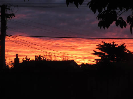 Sunset Powerlines