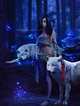Wolf by VanessaPadua