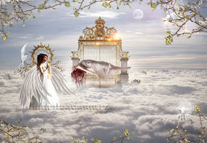 .Paradise. by VanessaPadua .Paradise. by VanessaPadua