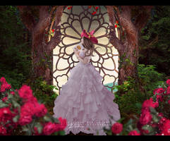 Dreamer