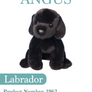 Labrador - 1962 Angus