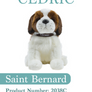 Saint Bernard - 2038C Cedric