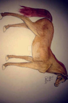 Sideways Chestnut Horse