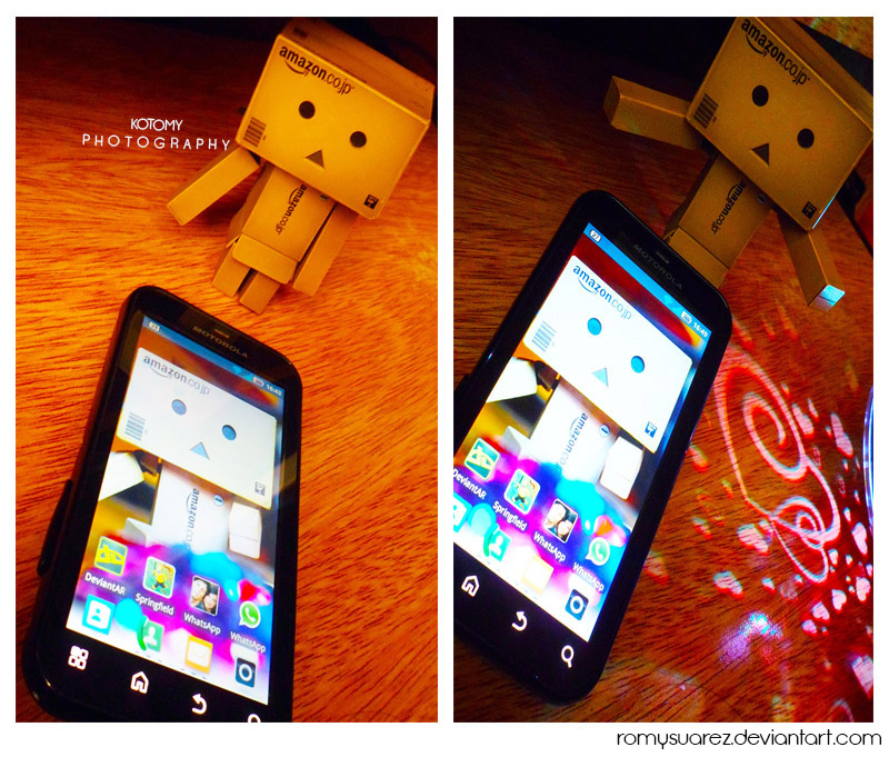 Danbo cellular