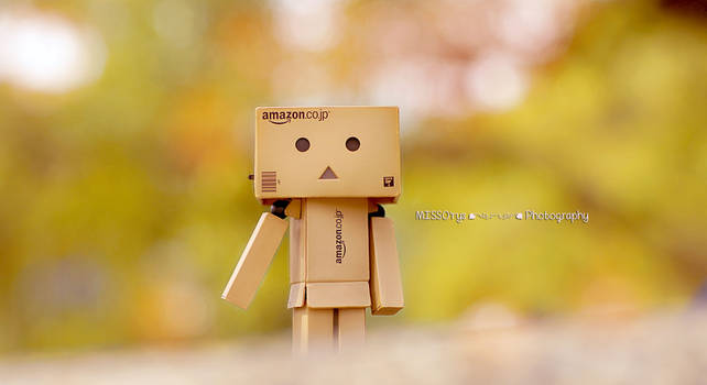 Merely Danbo~