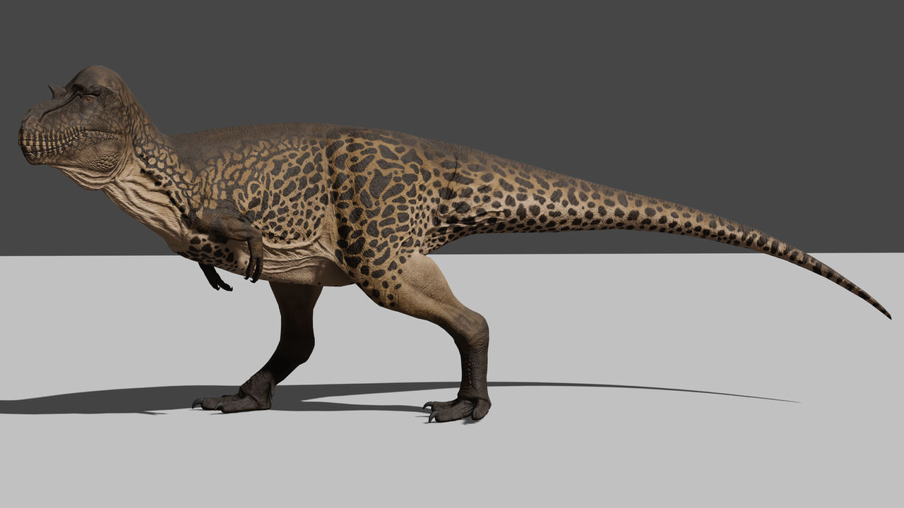 Gorgosaurus by RexyMex on DeviantArt