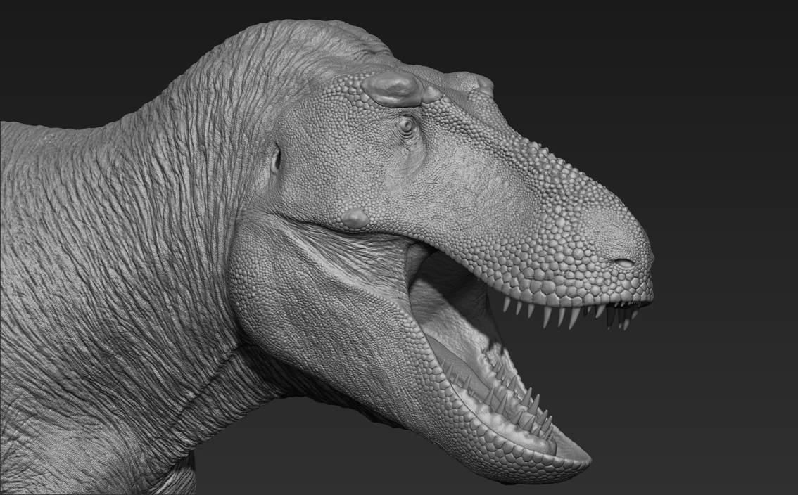 T.rex 3D Sculpt. by RexyMex on DeviantArt