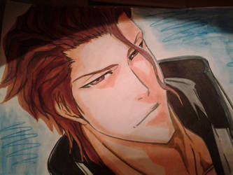 Aizen Sousuke by lisogin