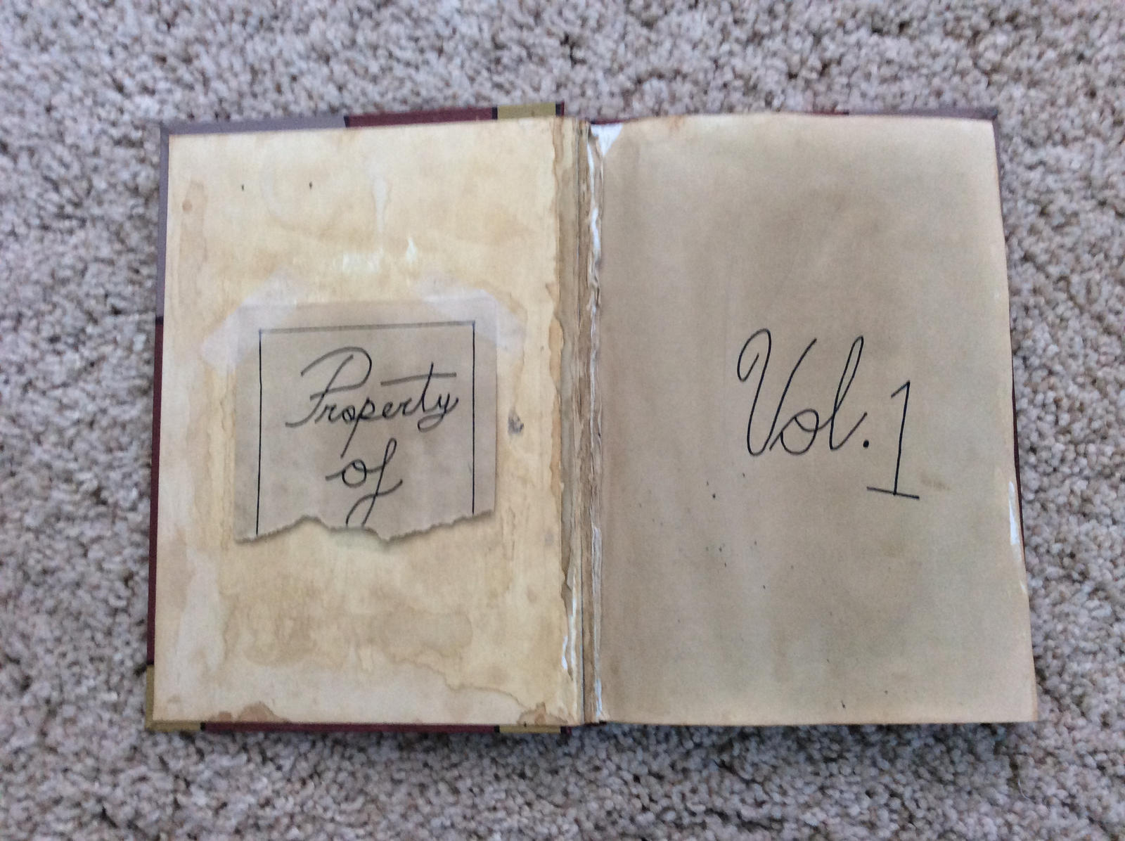 Journal 1: The First Page by TheAuthor618 on DeviantArt