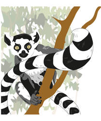 Ring-Tailed Lemur