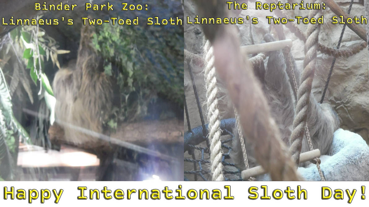 Happy International Sloth Day! by michaelryanmoss on DeviantArt