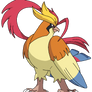 mega pidgeot