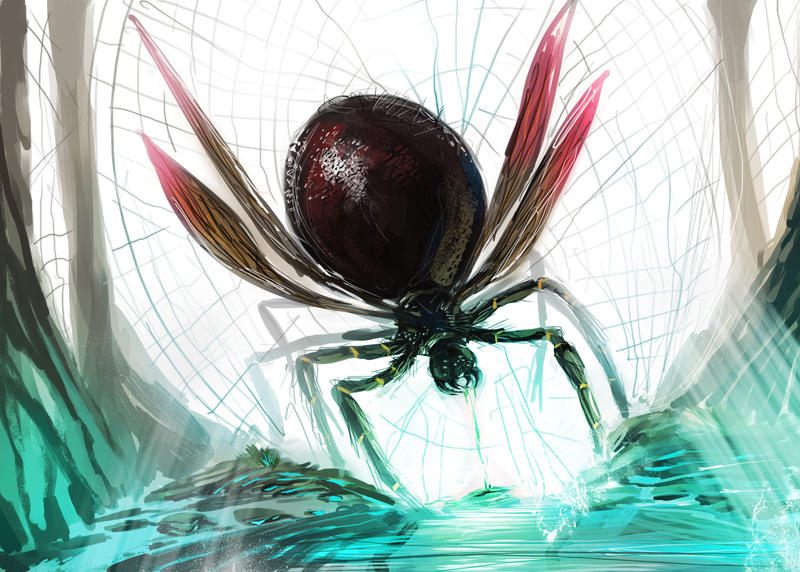 Spider Insect Deviantart Spider by kakakatana on DeviantArt