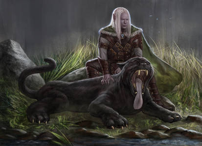 Drizzt and Guenhwyvar