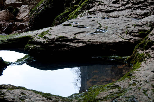 Voir le haut dans l'eau