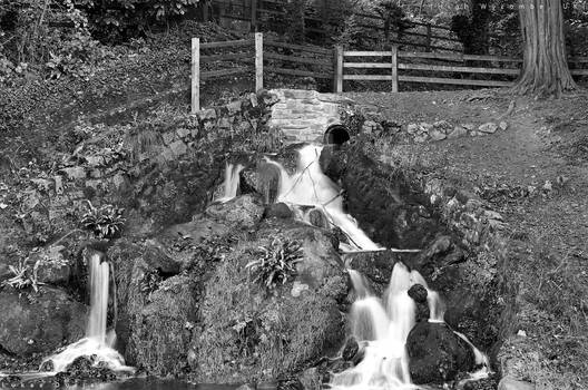 High Wycombe Town Park, UK (Kodak Tri-X 400)