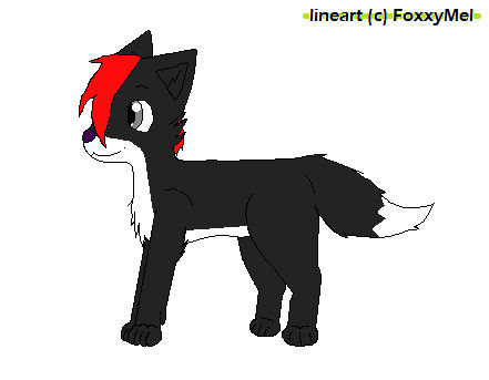 Fox Adoptable