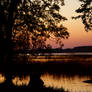 marsh sunset