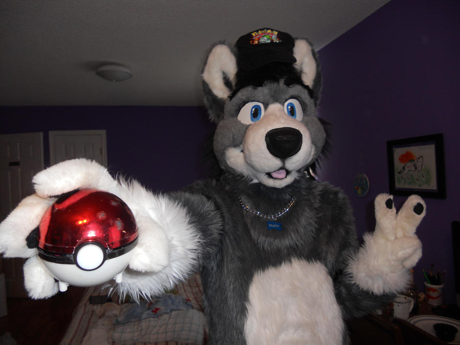 Furry Pokemon Master!