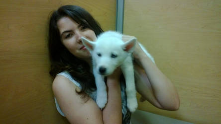 White Husky Puppy!