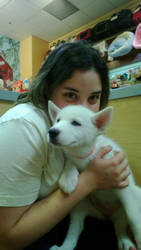 Luna and white husky pup!