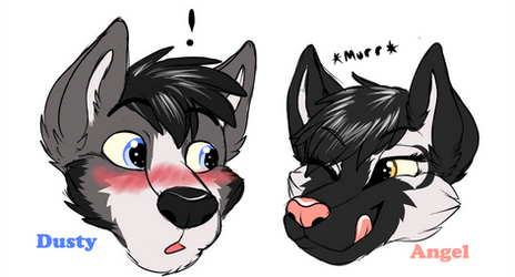 Dusty and Luna headshots by mirera