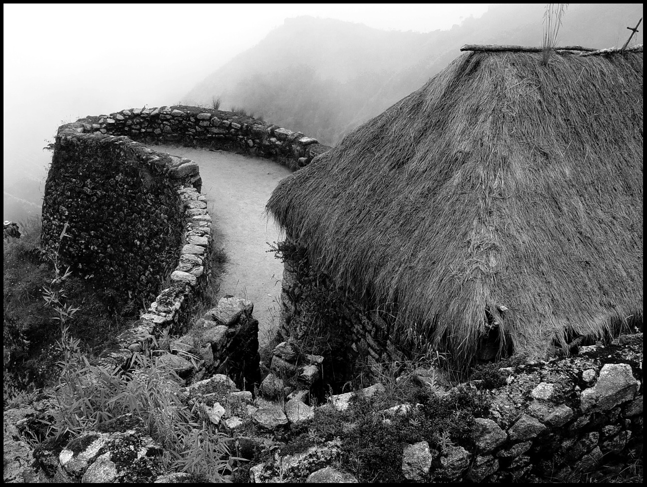 Inca Hut