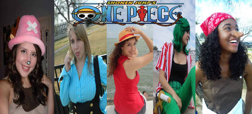 One Piece Gender Bender Crew