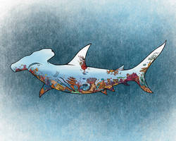 Coral Hammerhead...back cover Sammer the Hammer