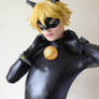 Chat Noir