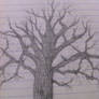 Lonley Tree