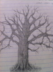 Lonley Tree