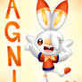 no.813: agni the scorbunny