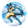 mega lucario z