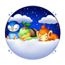 sleppy starters: gen 4