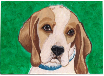 Beagle ACEO by D.Furguson