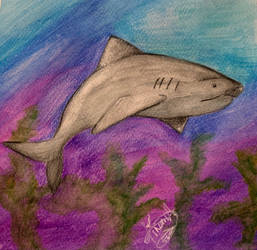 Watercolor Shark